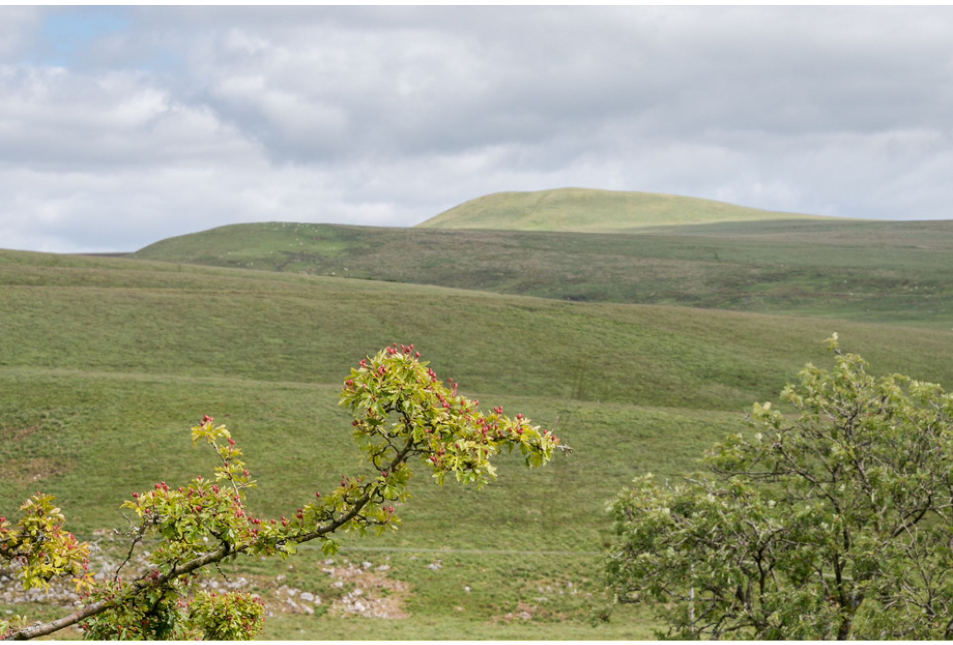 Langholm - Lintern