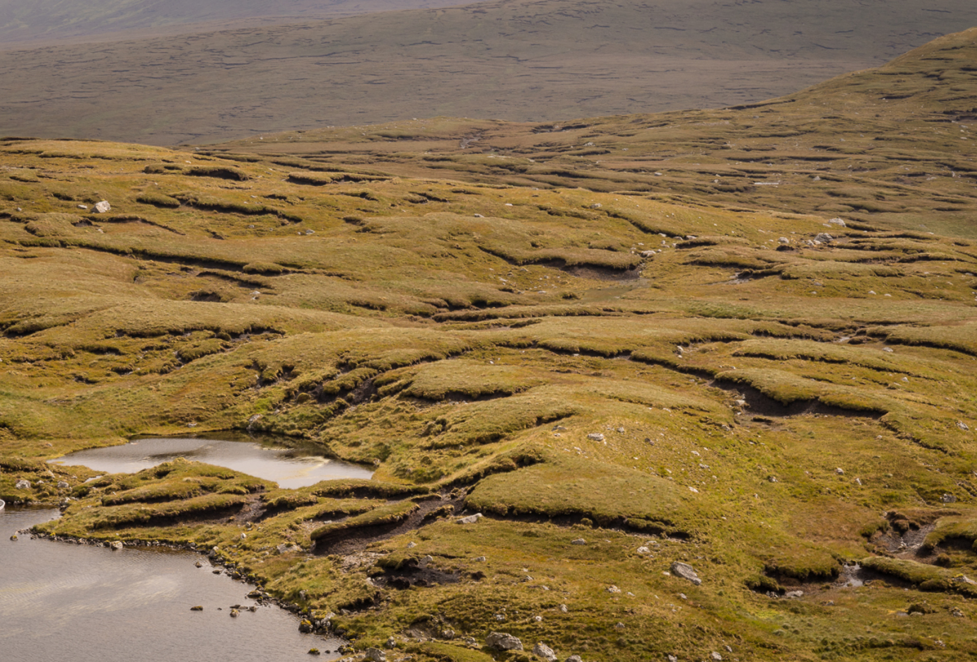 Peatland on Ben More estate - David Lintern