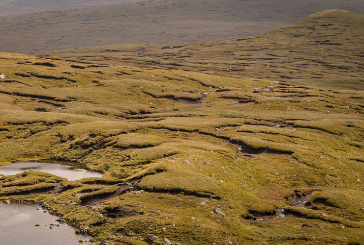 Peatland on Ben More estate - David Lintern