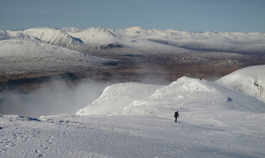 Nevis_GNicoll_detail