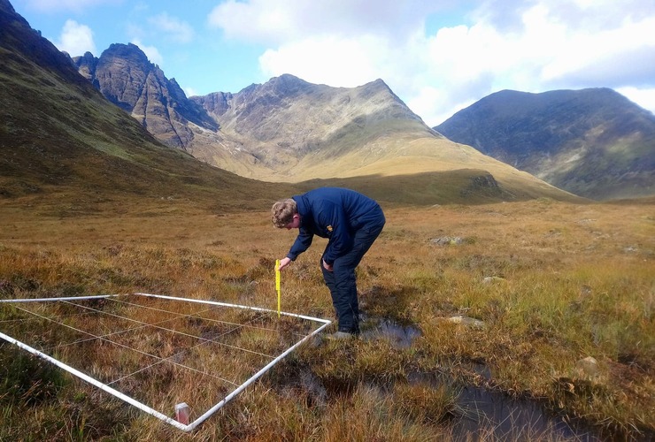 Peat plot survey on Skye