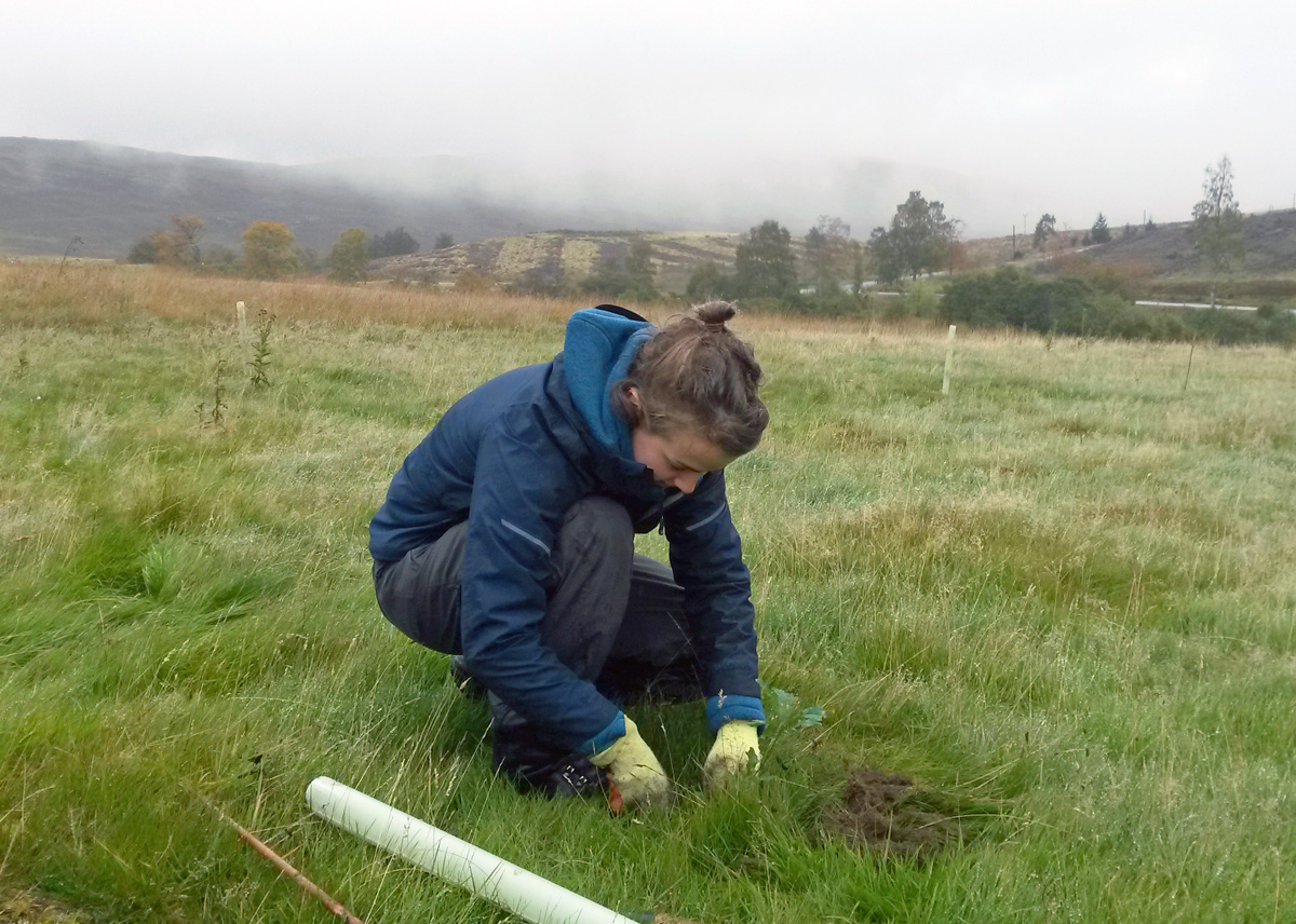 Vanessa Burton planting tree at HOSF