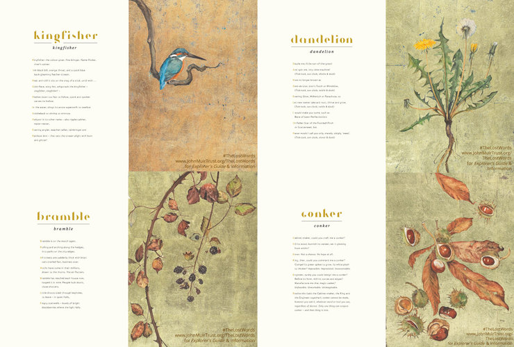 Lost Words Posters