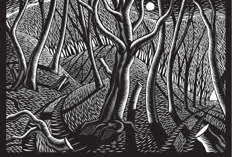 Nick Hayes trees print