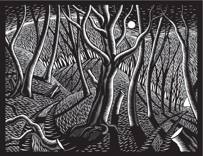 Nick Hayes trees print