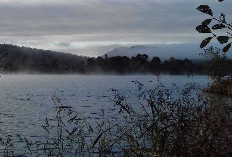 Rebecca Logsden water