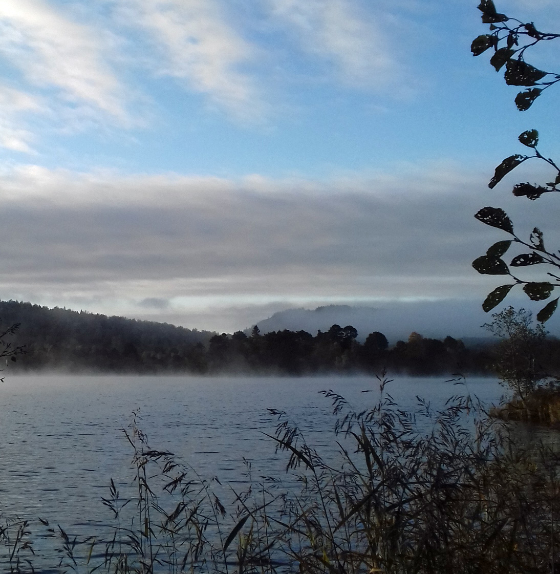 Rebecca Logsden water