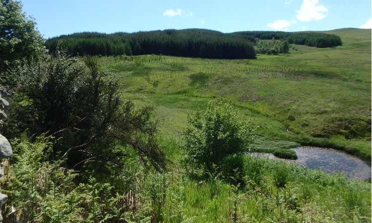 Glenlude Burn