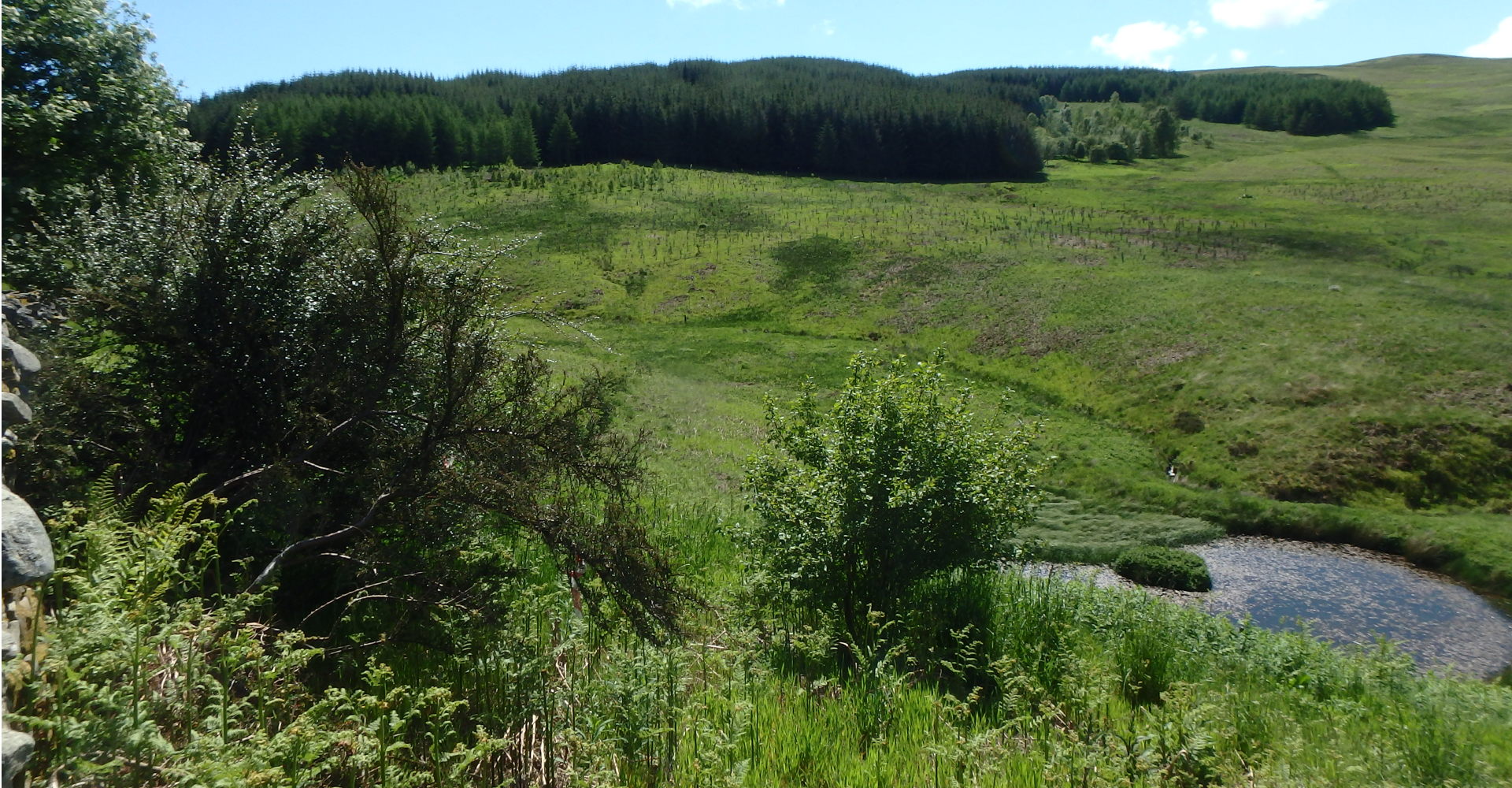 Glenlude Burn