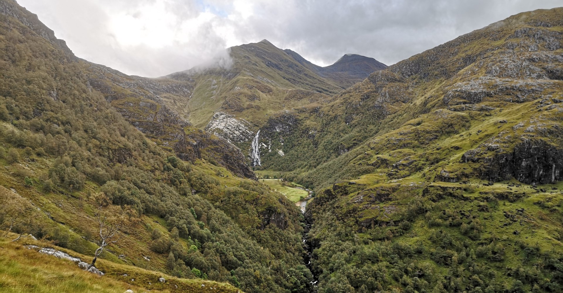 Stall and Nevis