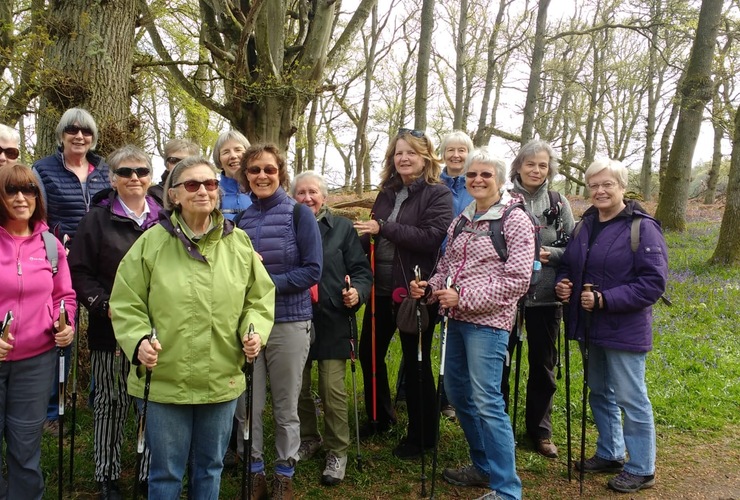 Tayberries on a bluebell walk