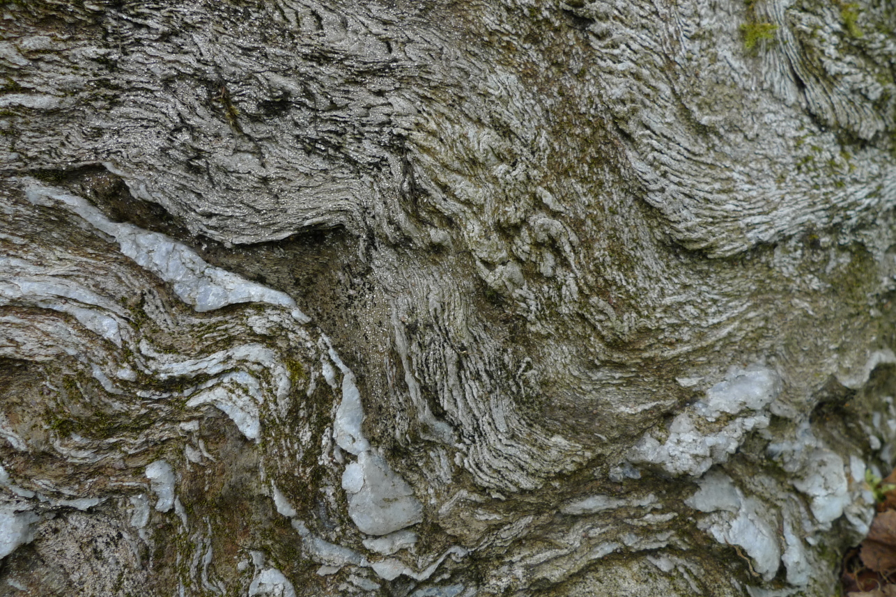 Rock folds