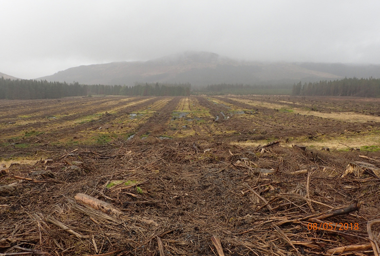Peatland on Skye
