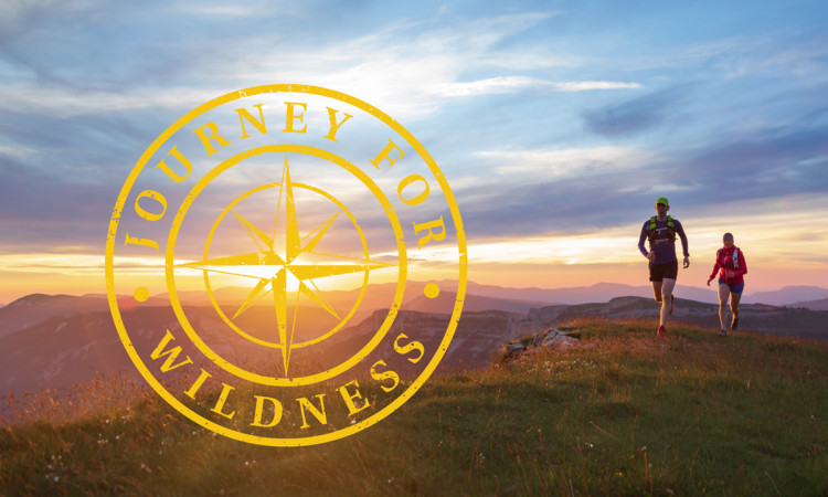 Journey for WIldness - main image with logo