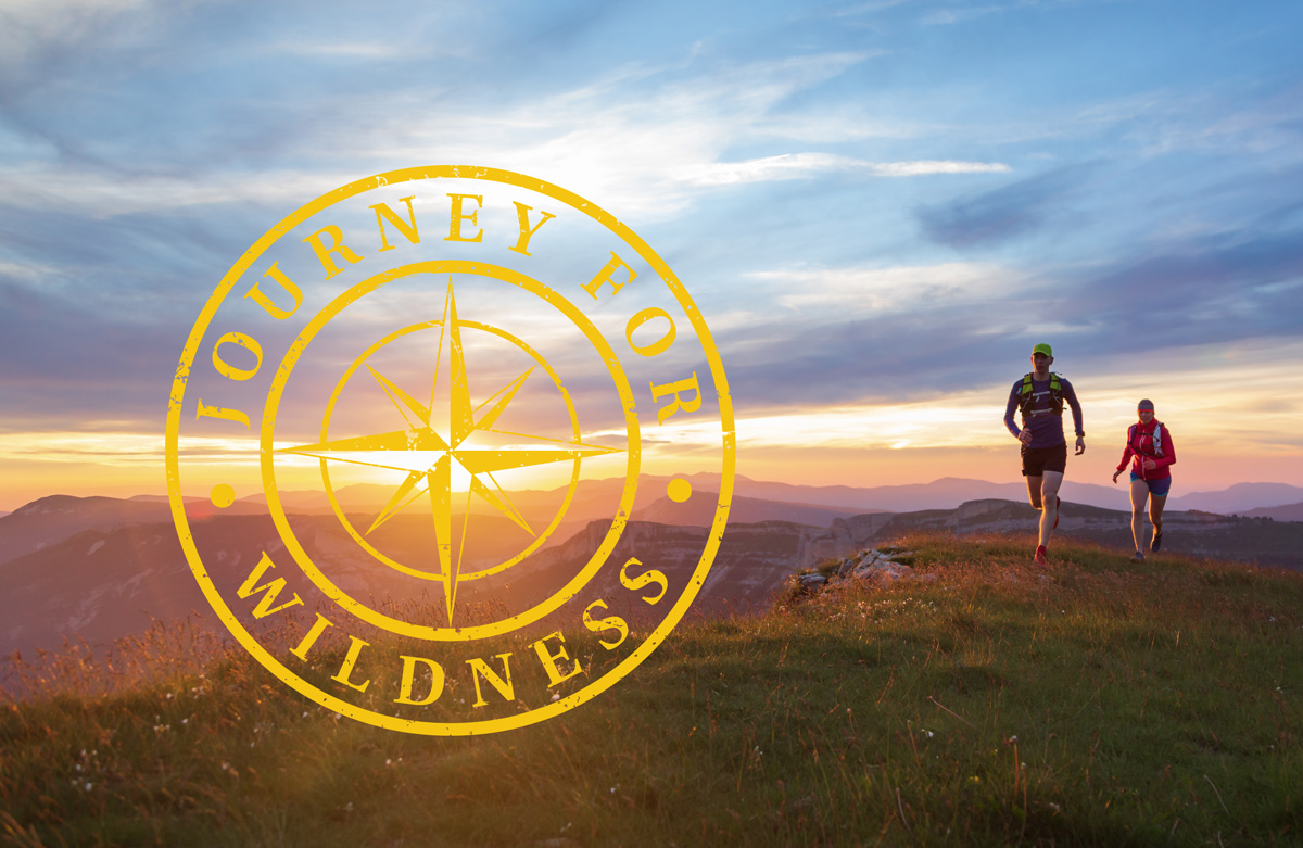 Journey for WIldness - main image with logo
