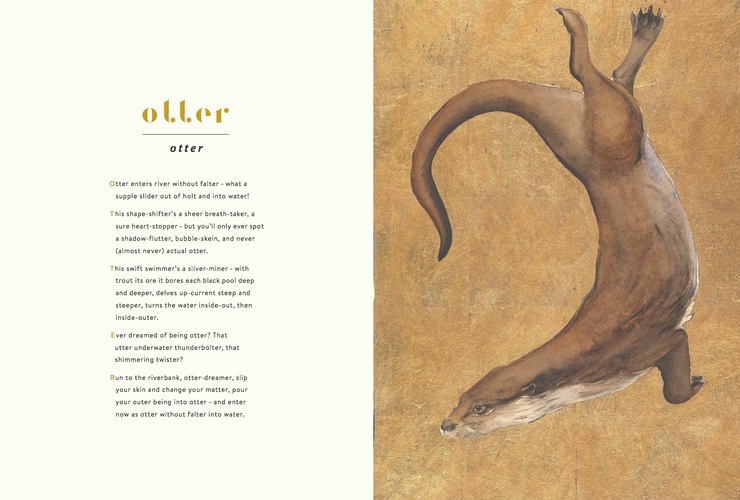 Lost Words - Otter Poem