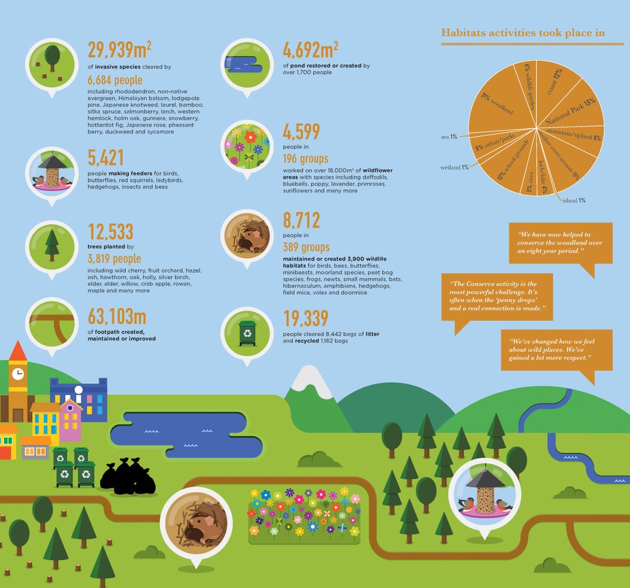 Conserve Audit infographic