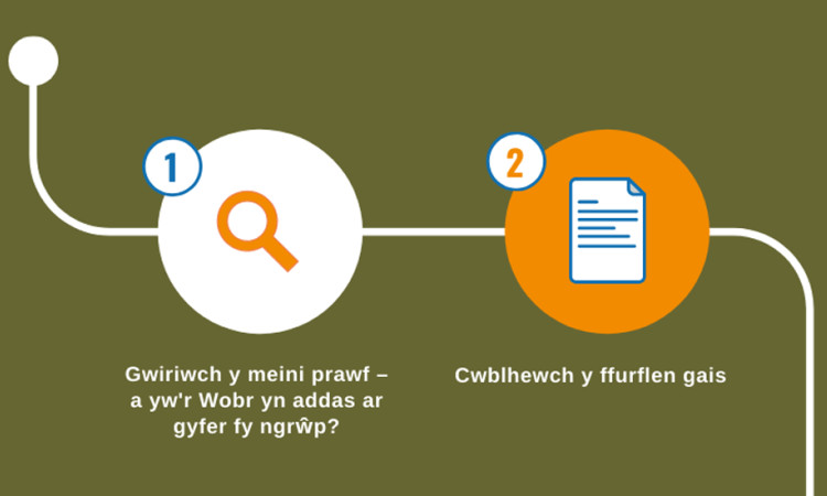 Welsh infographic - detail