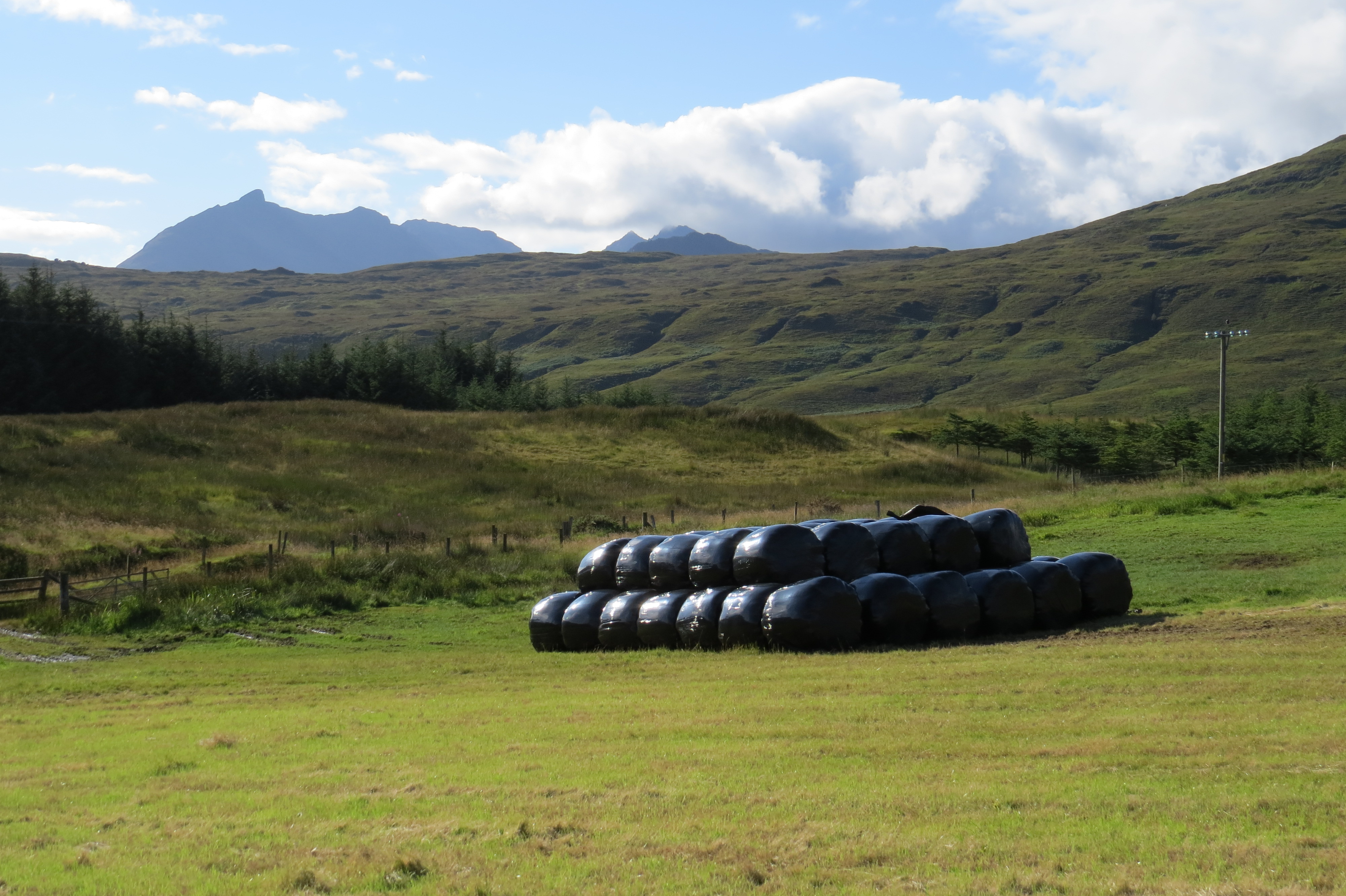 Strathaird Farm wrapped silage