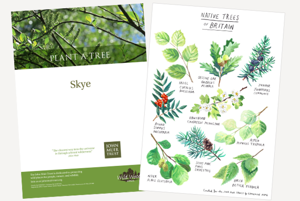 Tree print