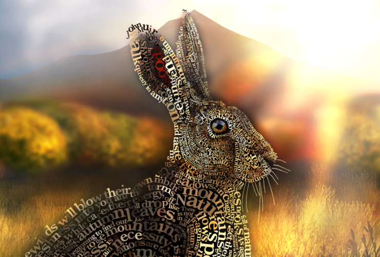 Tim Cottee: Hare