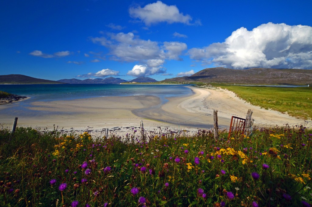 Moris-Macleod-Seilebost-Machair