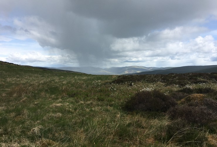 Rain shower at Glenlude