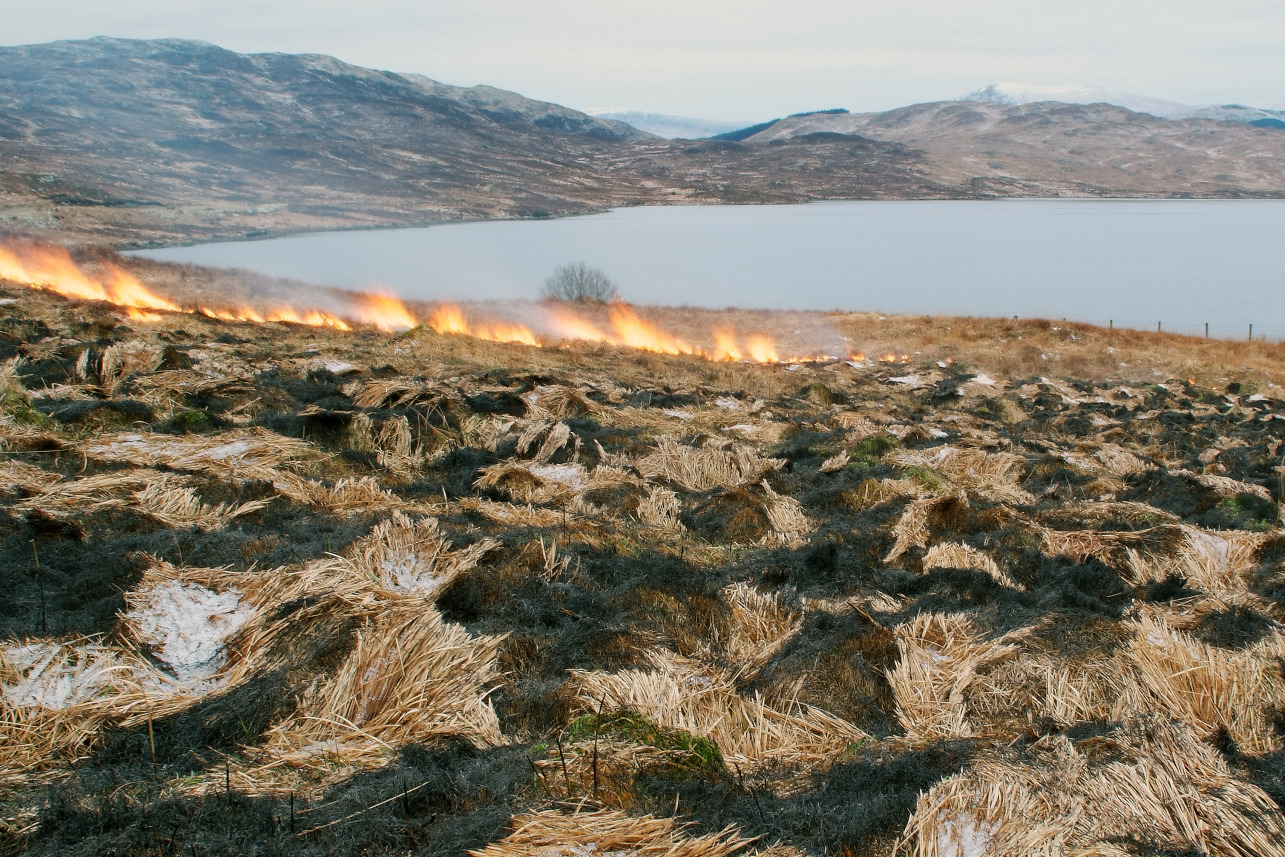 Muirburn - Kevin Lelland