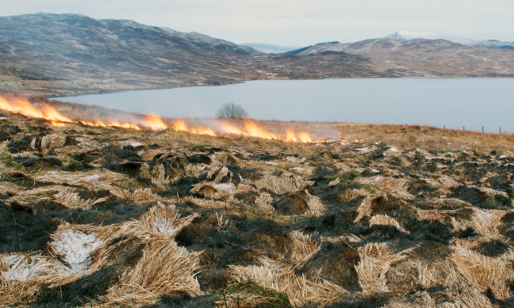 Muirburn - Kevin Lelland