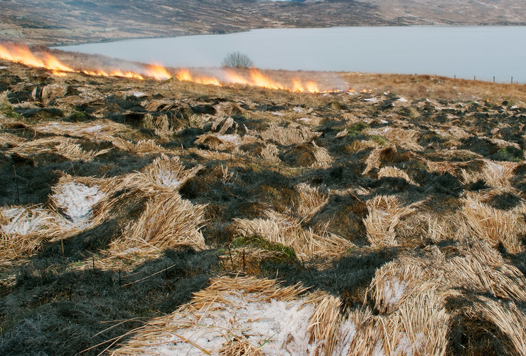 Muirburn - Kevin Lelland