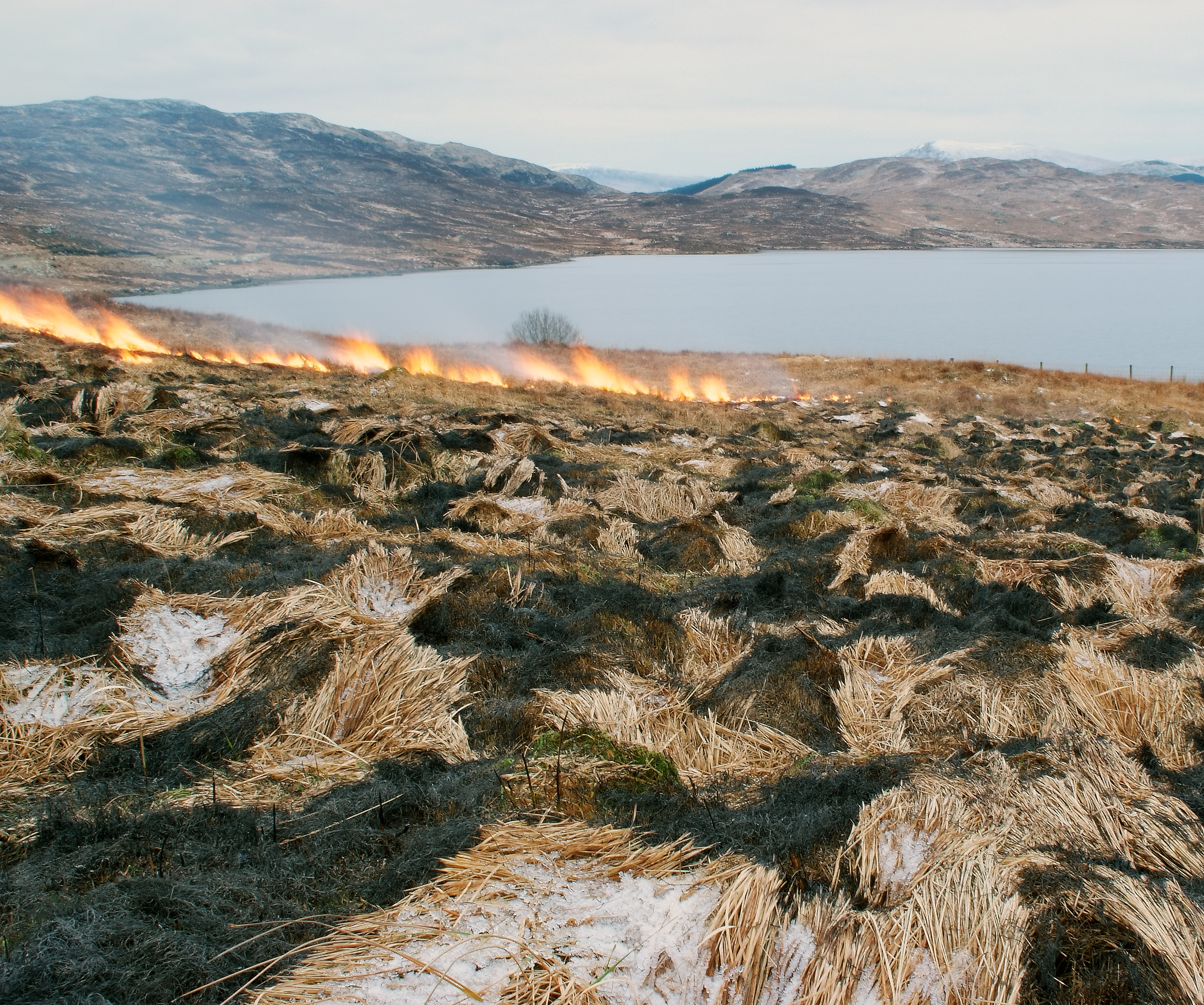 Muirburn - Kevin Lelland