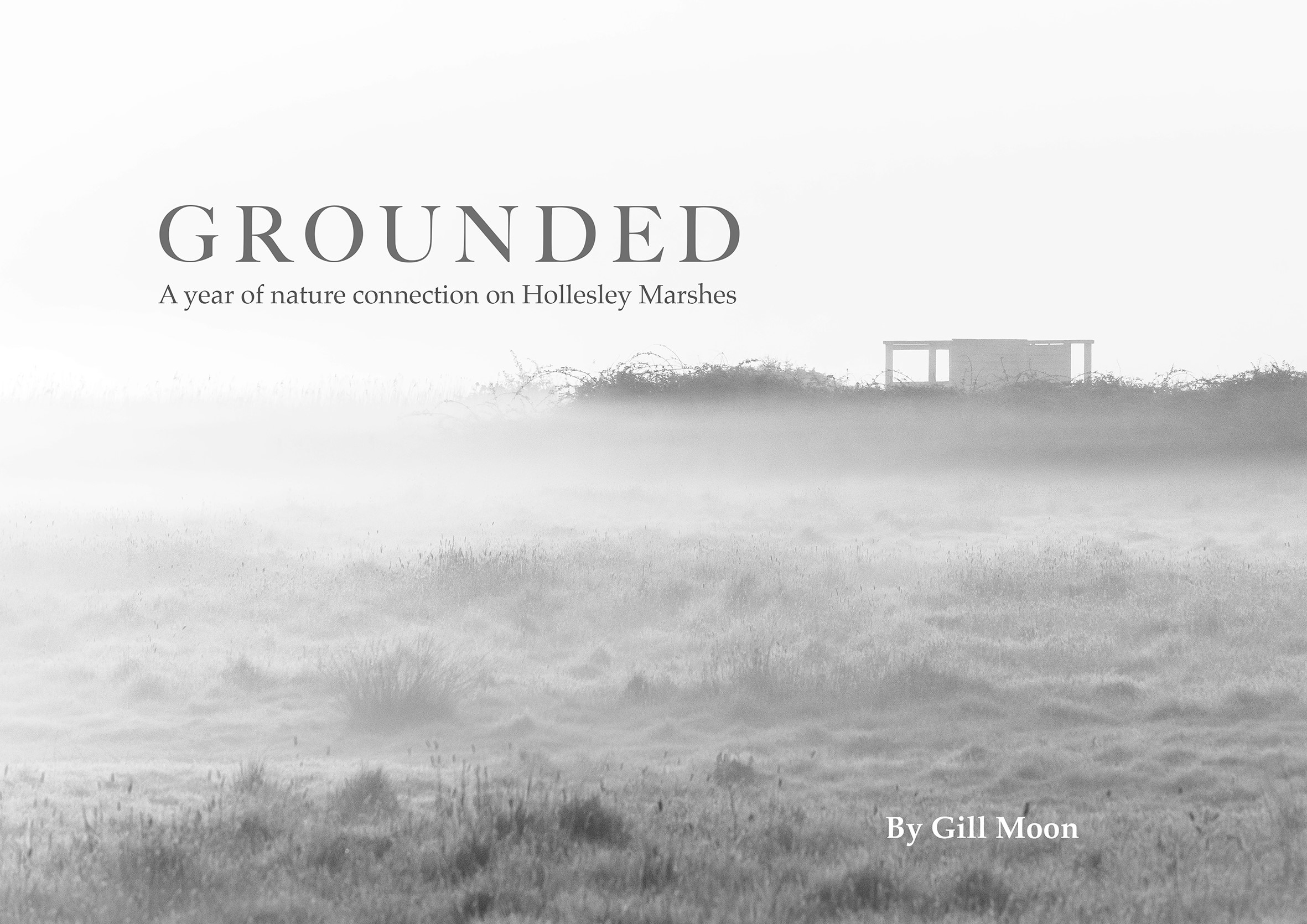 Gill Moon - J4W - Grounded cover