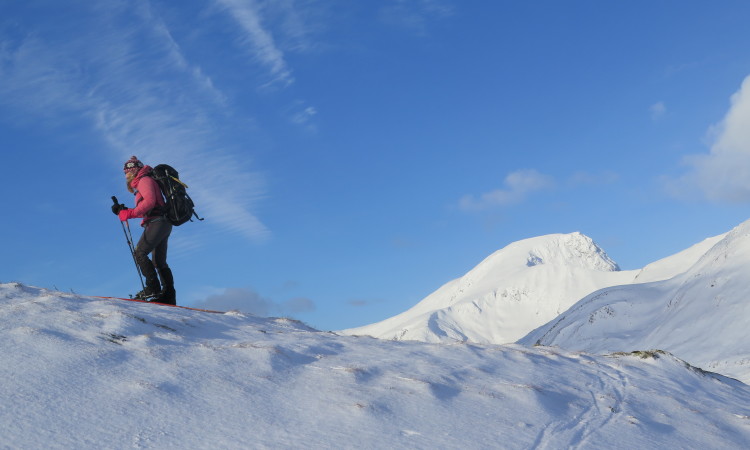 Mick Tighe - Nevis from Binnein Beag