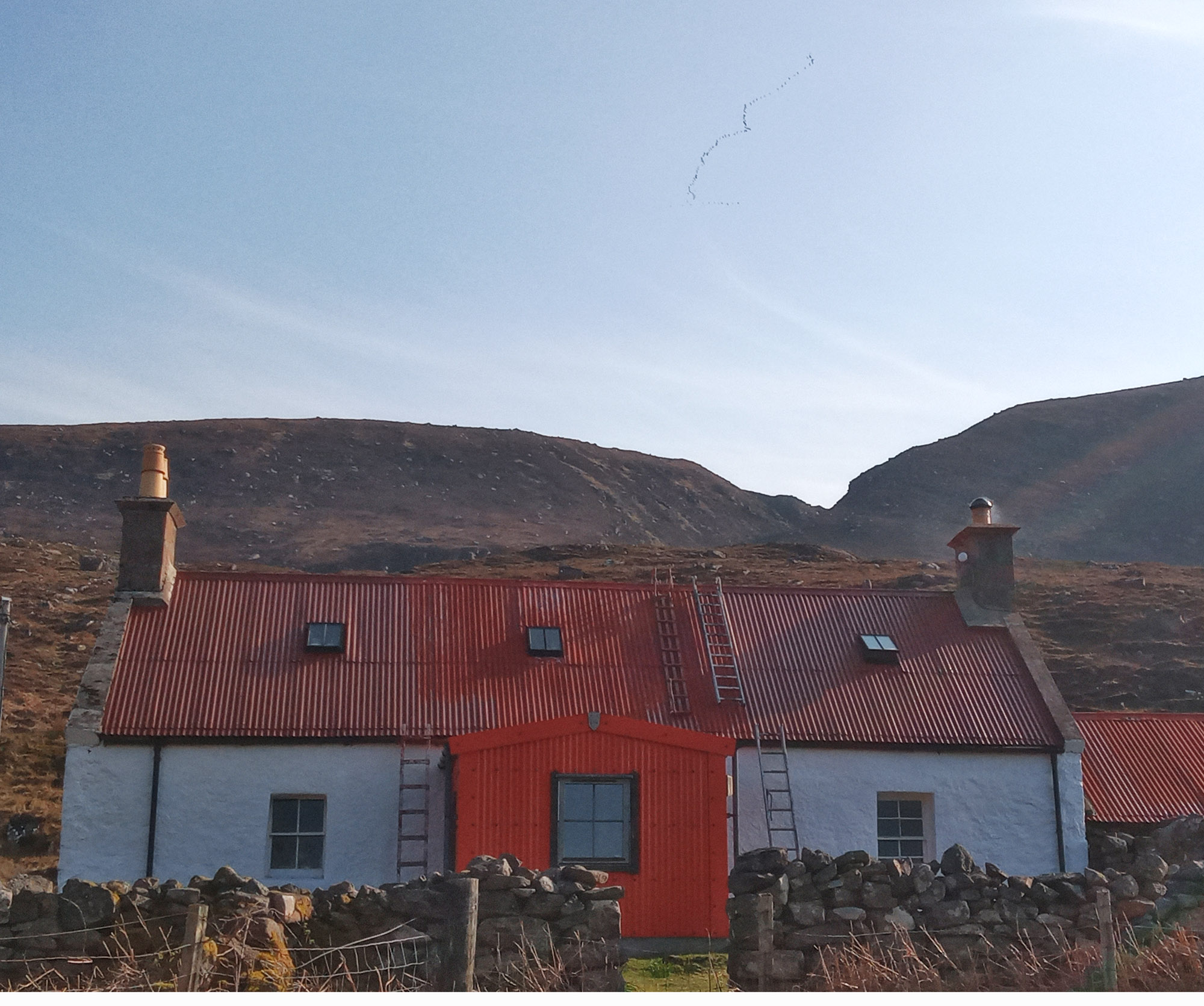 Gwennie Fraser wild geese over Culnacraig