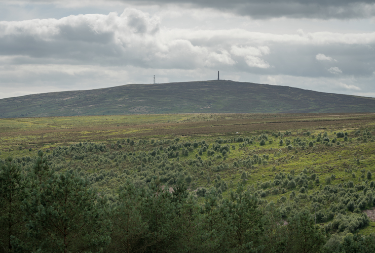 Langholm Moor David Lintern