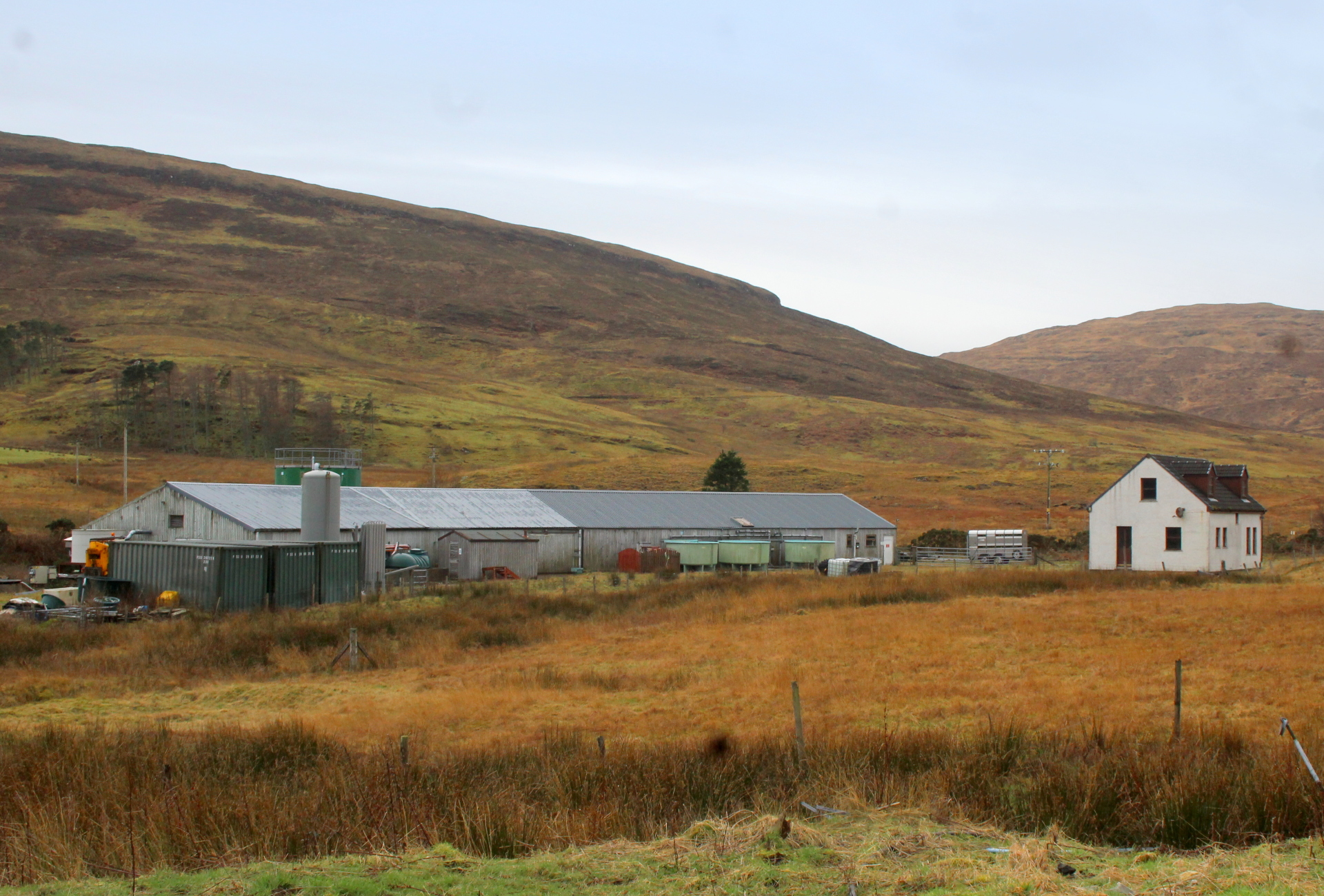 Kilmarie Hatchery from ASG Commercial