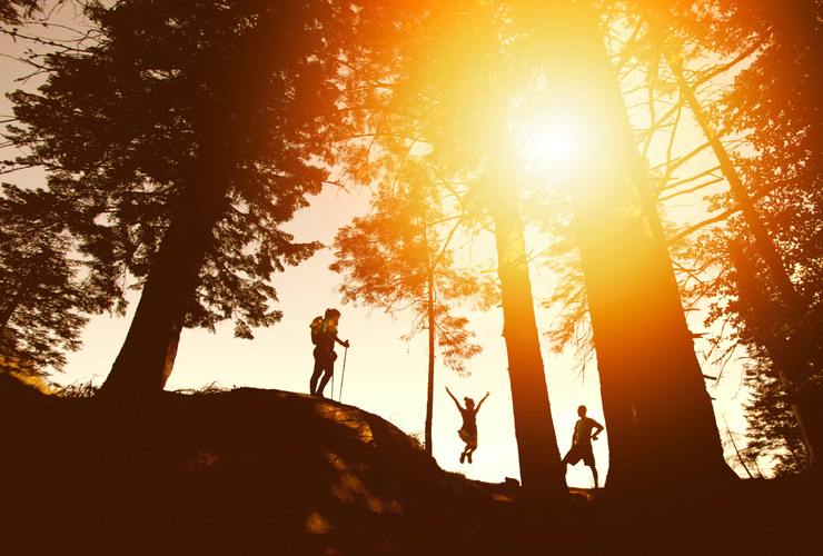 Forest sunset - photo-nic - Unsplash