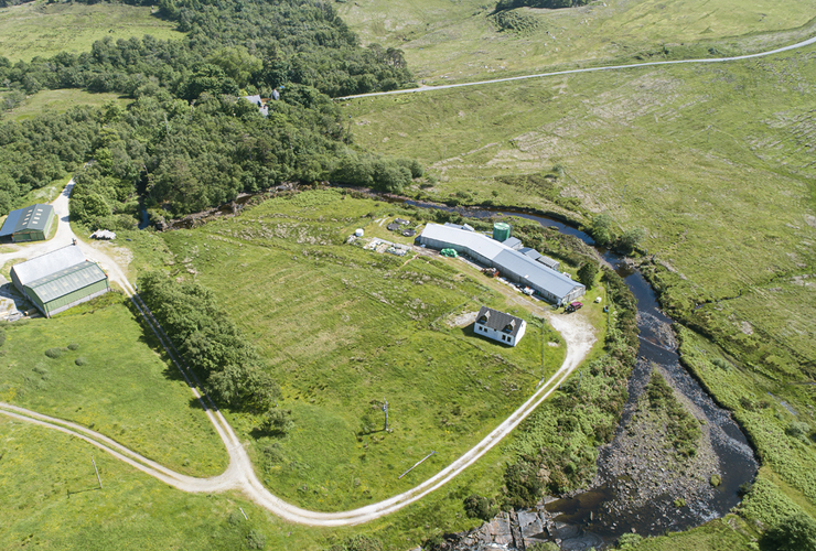 Kilmarie Hatchery and farm