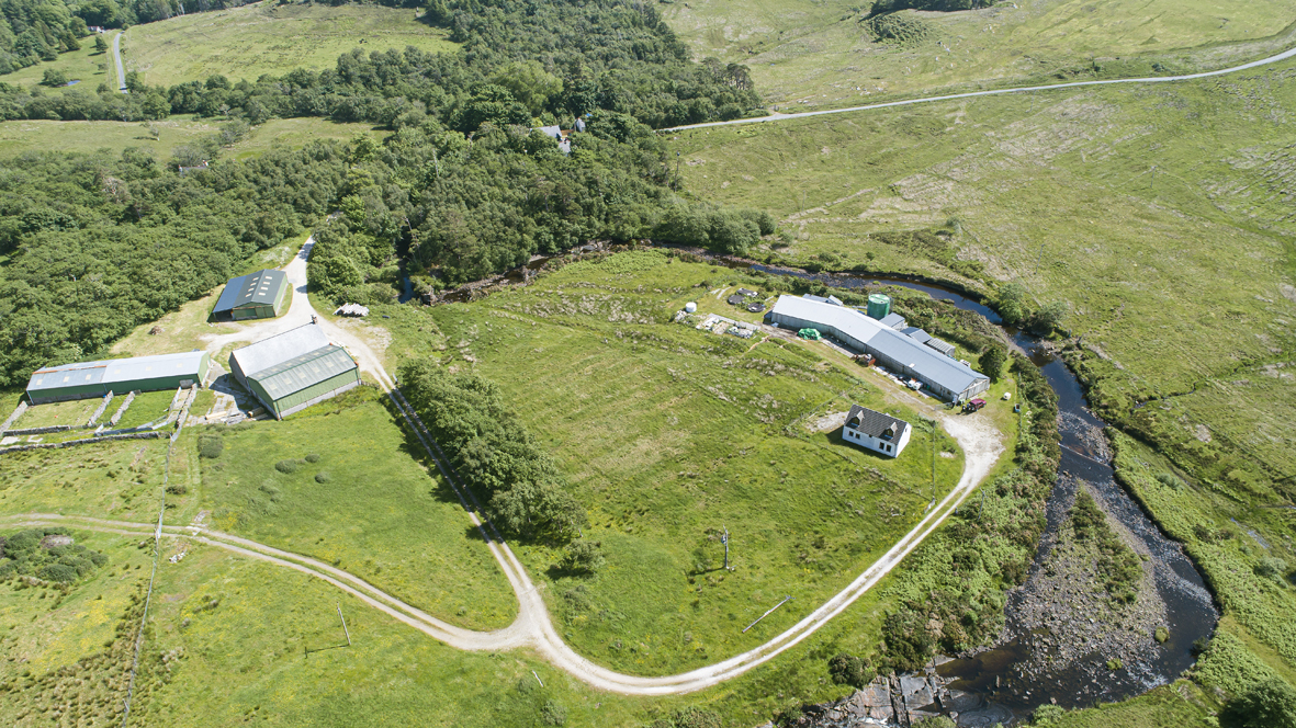 Kilmarie Hatchery and farm