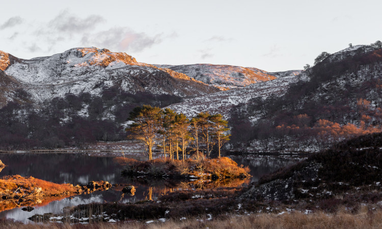 Mark's live saving trip to the Highlands