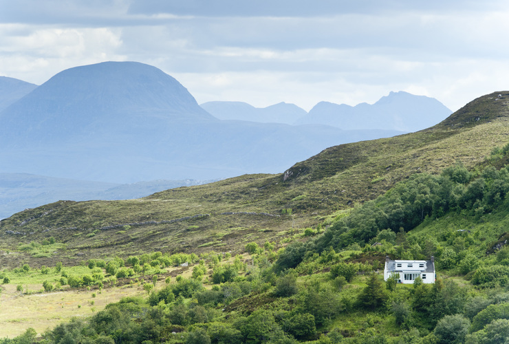 Knoydart trees