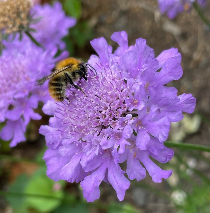 Mindful photography - Jayne Gissing