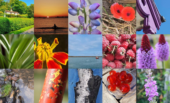 Mindful Photography - Collage
