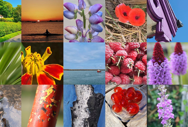 Mindful Photography - Collage