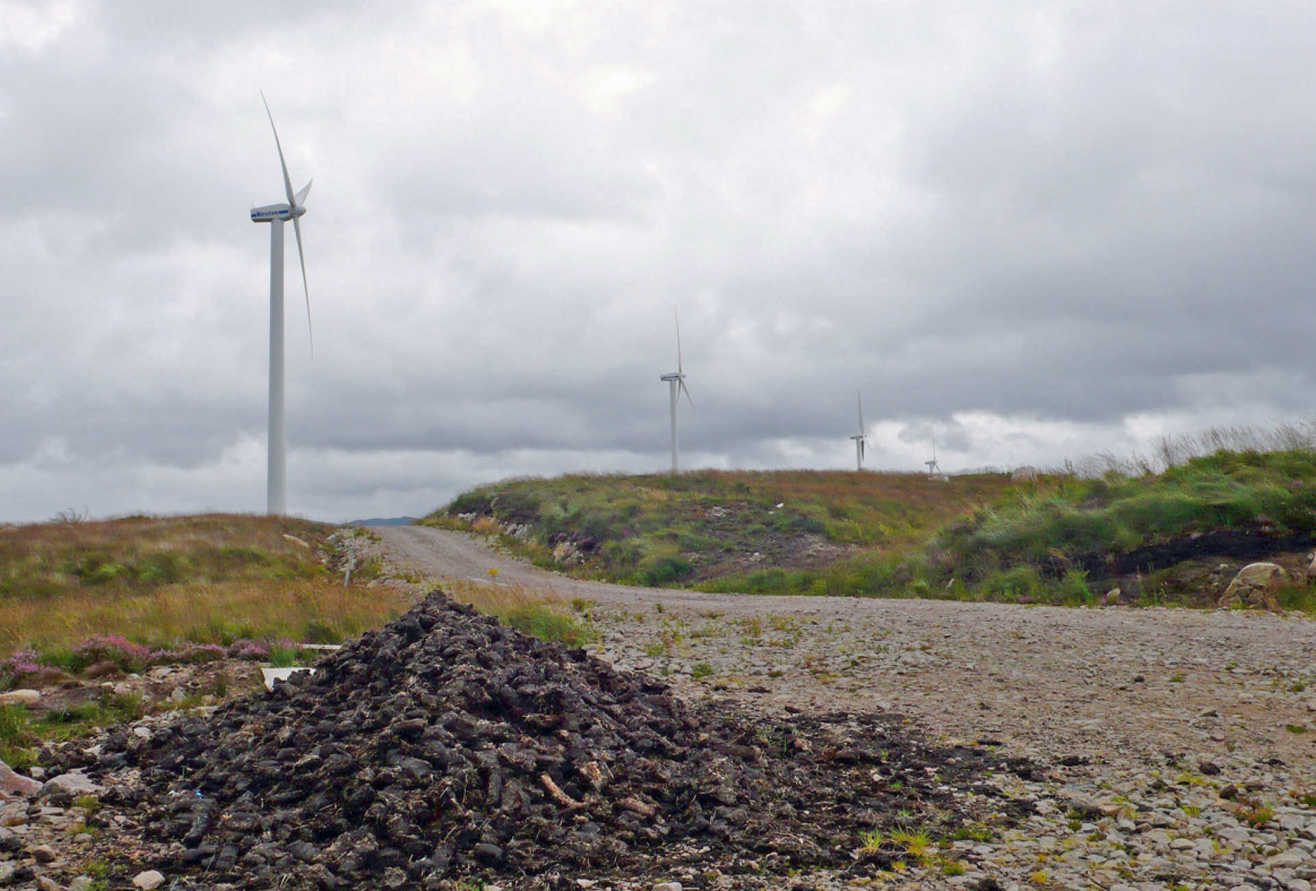 Wind turbines and peat bog