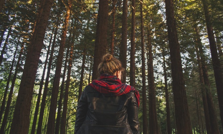 Woman in forest - Unsplash - John Mark Arnold