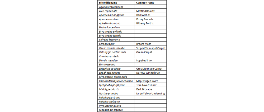 moth species list for Glenridding Common July 2021 v3