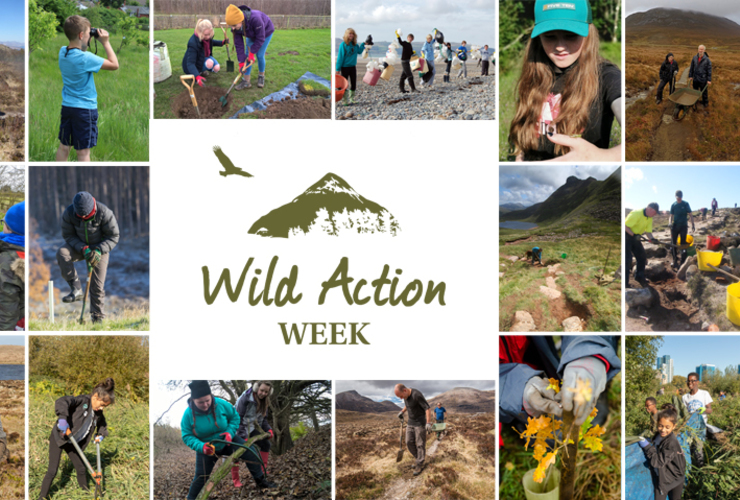 Wild Action Week promo