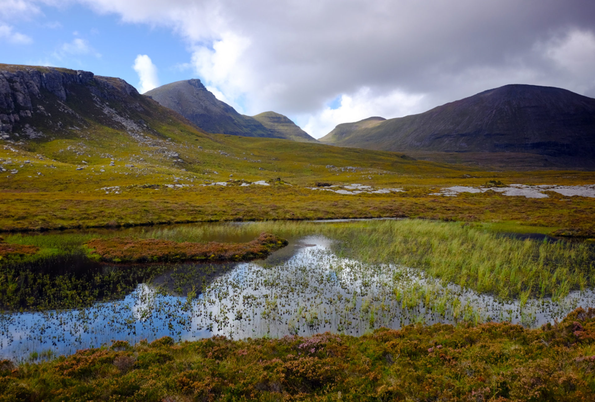 Help a Habitat - Peatlands