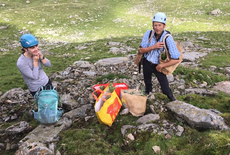 Planting willows at Glenridding